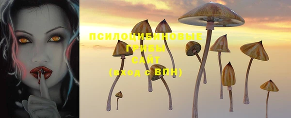 а пвп мука Абдулино