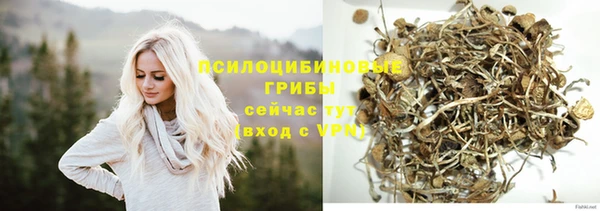 винт Абинск