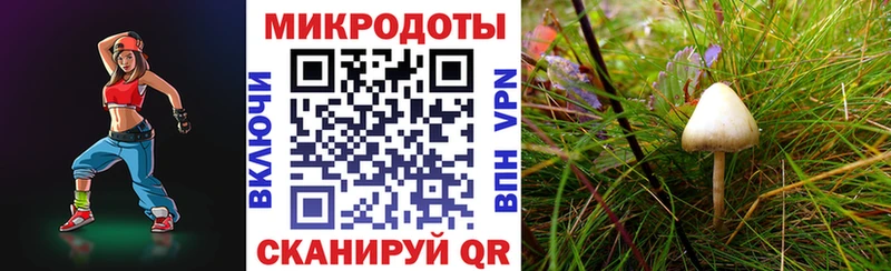 Галлюциногенные грибы ЛСД  кракен рабочий сайт  Осташков  купить наркотик 